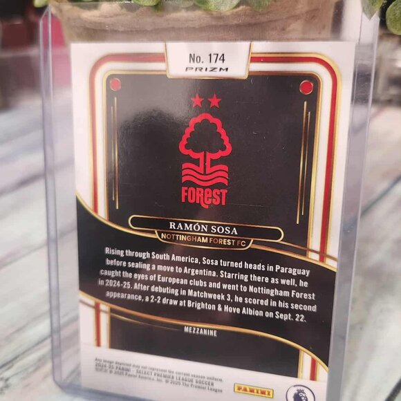 Ramon Sosa Rookie Card - Picture 4 of 8